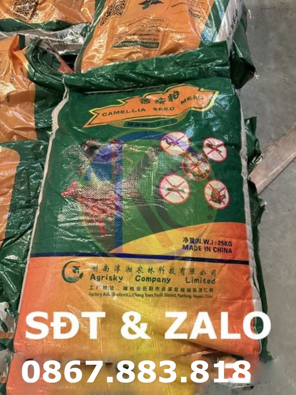 SAPONIN - TEE SEED MEAL- DIỆT CÁ TẠP